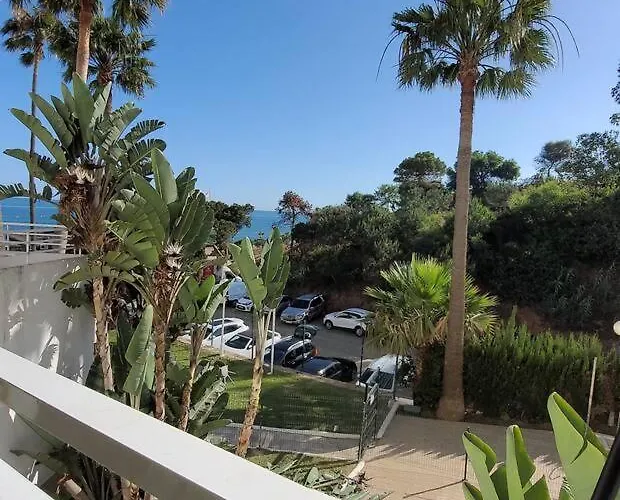Vela * Mijas